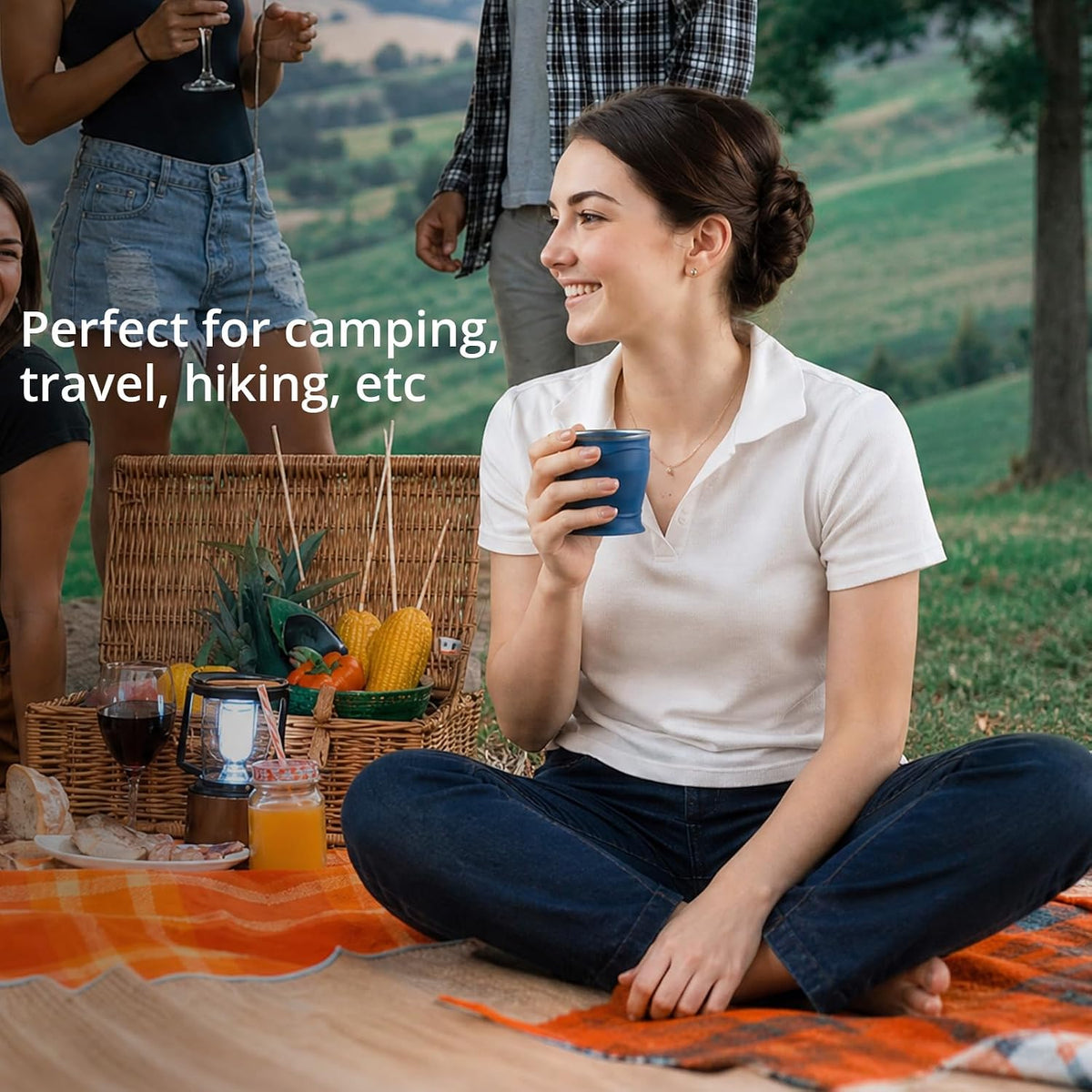 2PCS 8.8oz Collapsible Cup Silicone Foldable Cup for Camping Hiking Travel