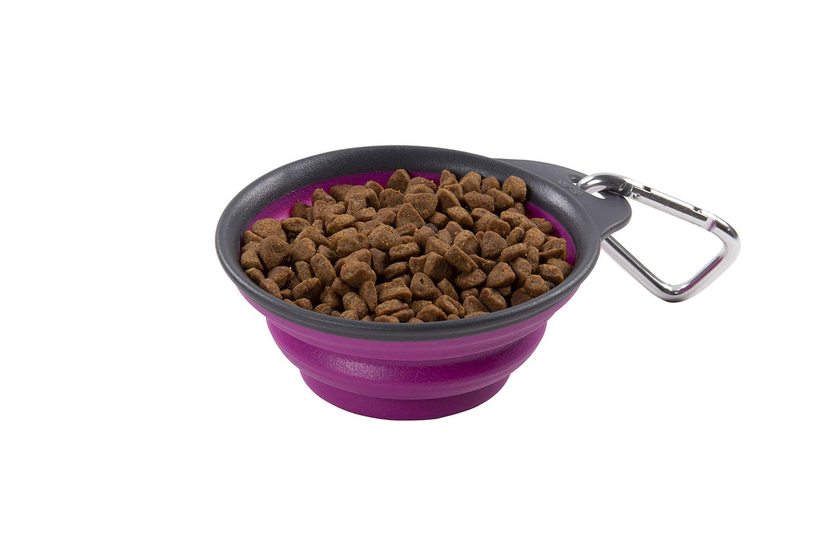 Dexas Pets Collapsible Travel Cup, Small/1 Cup Capacity, Light Gray