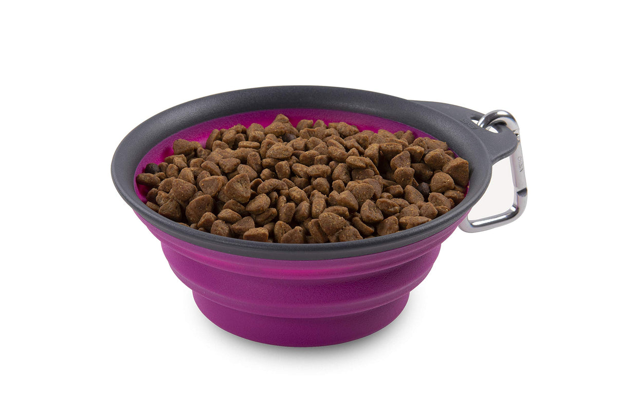 Dexas Pets Collapsible Travel Cup, Small/1 Cup Capacity, Light Gray