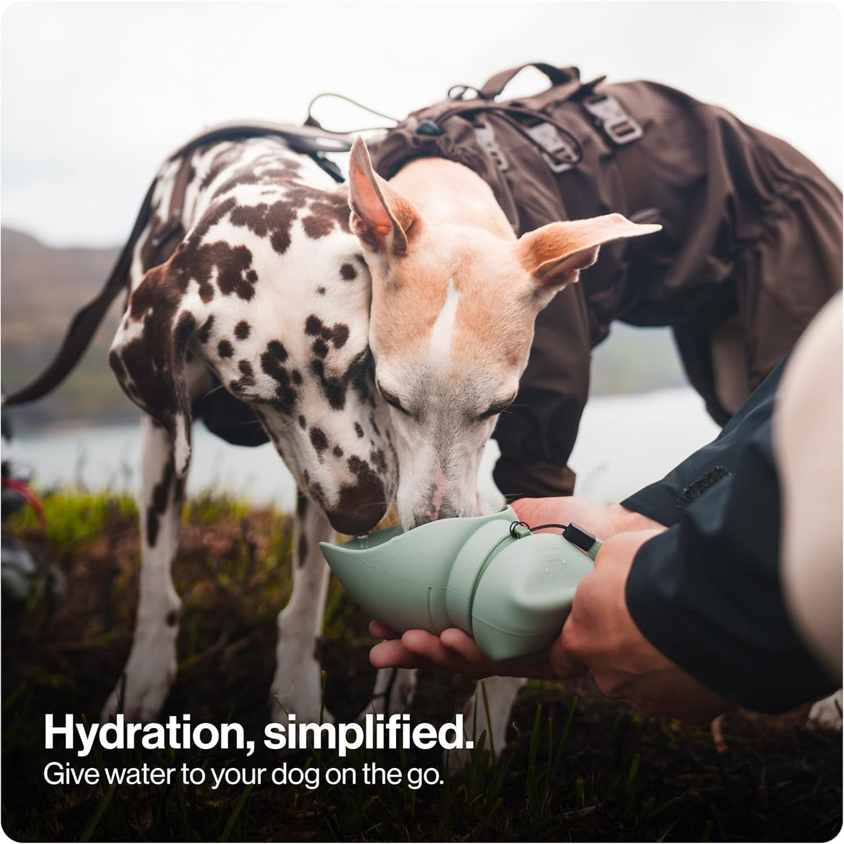 SÄKER Portable Dog Water Bottle, Collapsible Water Bottle for Dogs Perfect for Walking, Hiking and Outdoors | Works as a Portable Water Bowl | Designed in Montreal - 550ml
